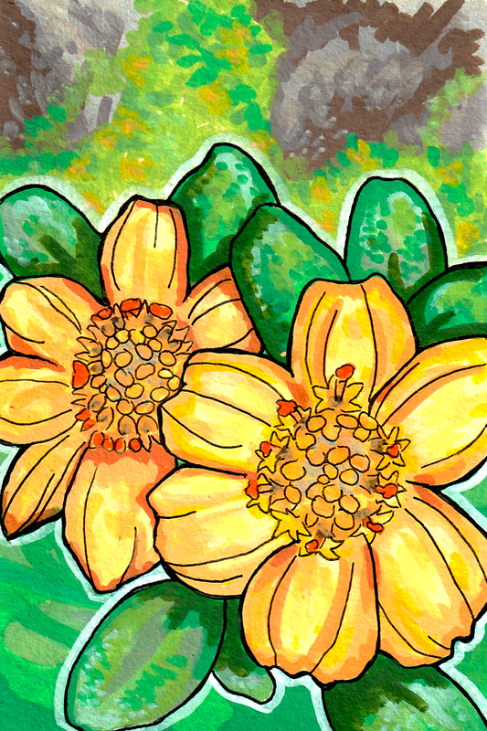 Nehe Original Art