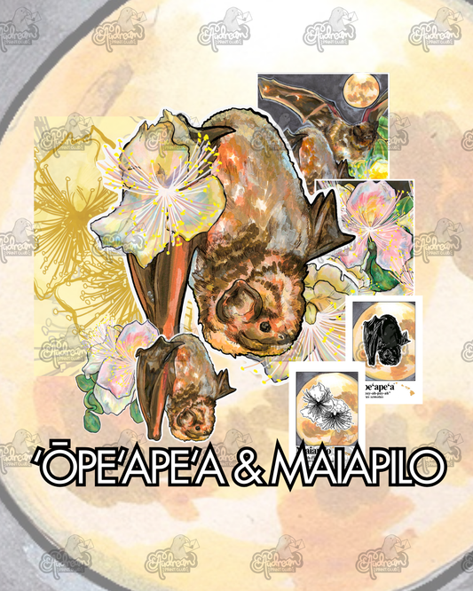 October 2026 Ōpeʻapeʻa & Maiapilo - Catch-Up