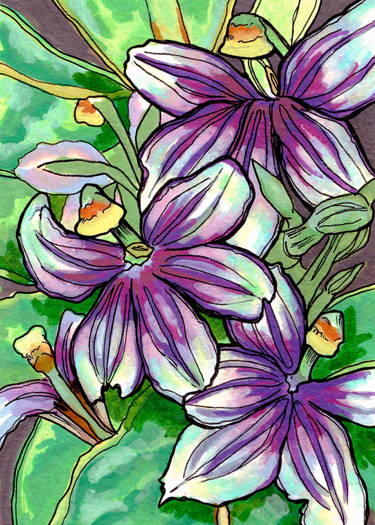 Naupaka Kuahiwi Art Print