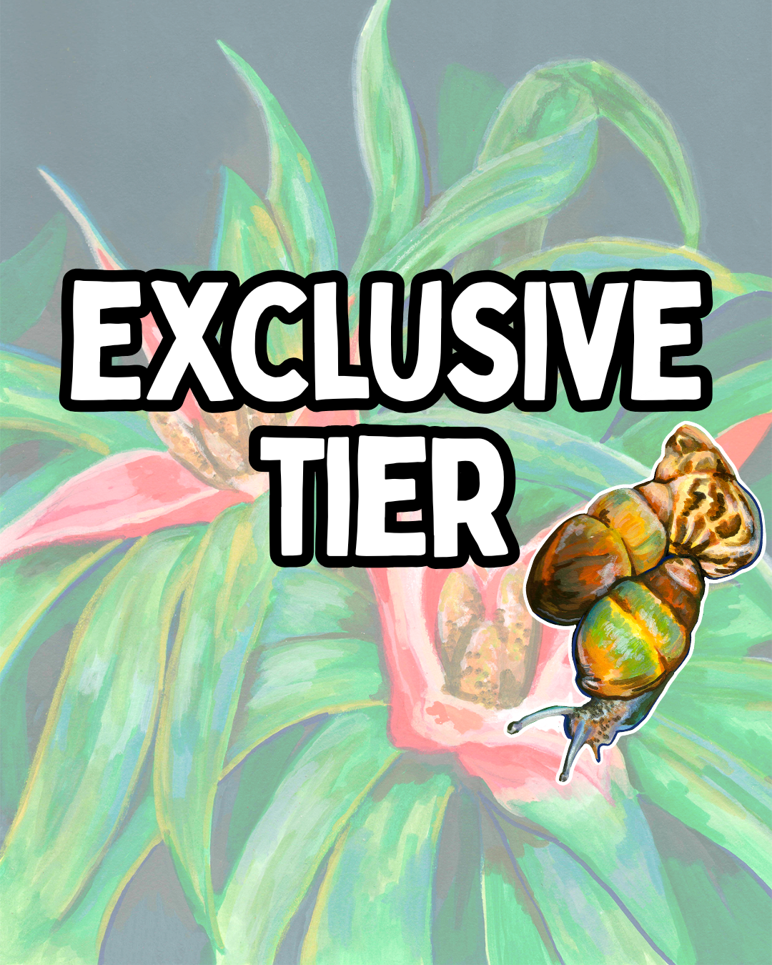 November 2026 - Exclusive Tier
