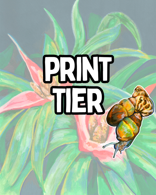 November 2026 - Print Tier