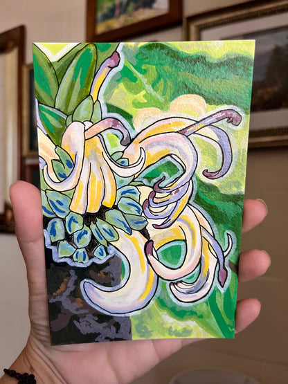 Haha Original Art