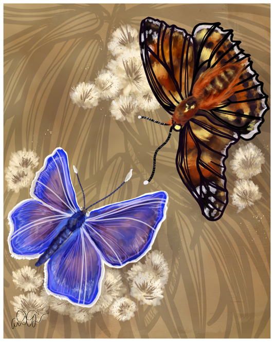 Koa and Kamehameha Butterfly