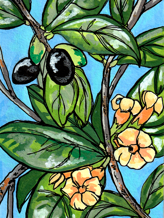Maile Original Art