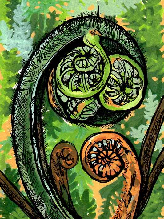 Hapu'u Original Art