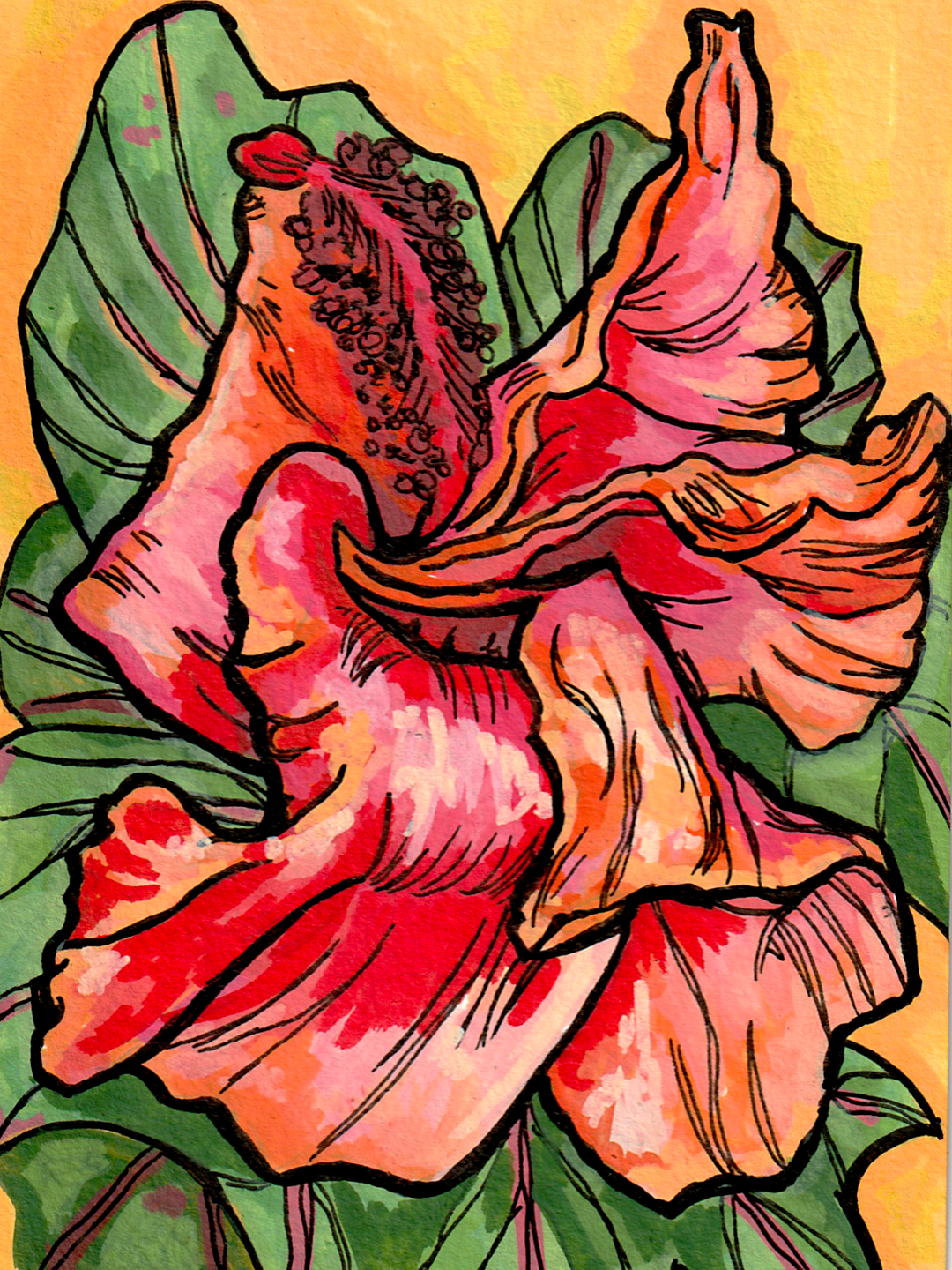 Koki'o Original Art
