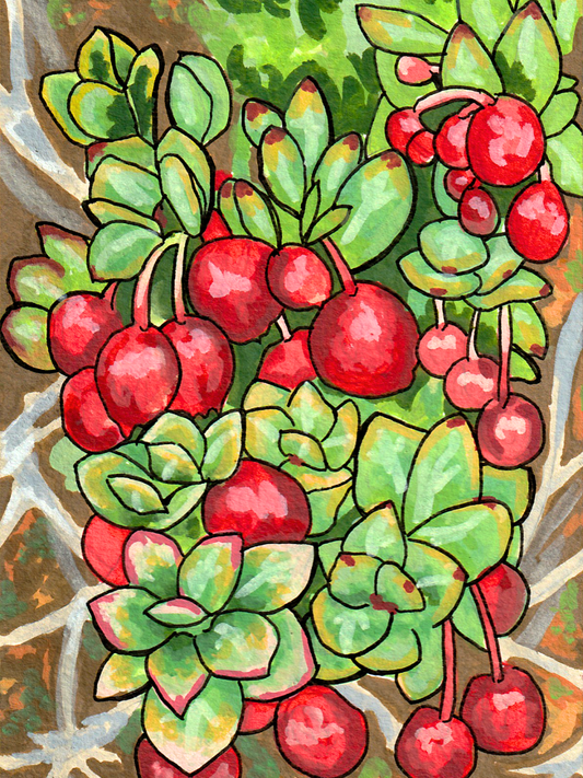 'Ohelo Original Art