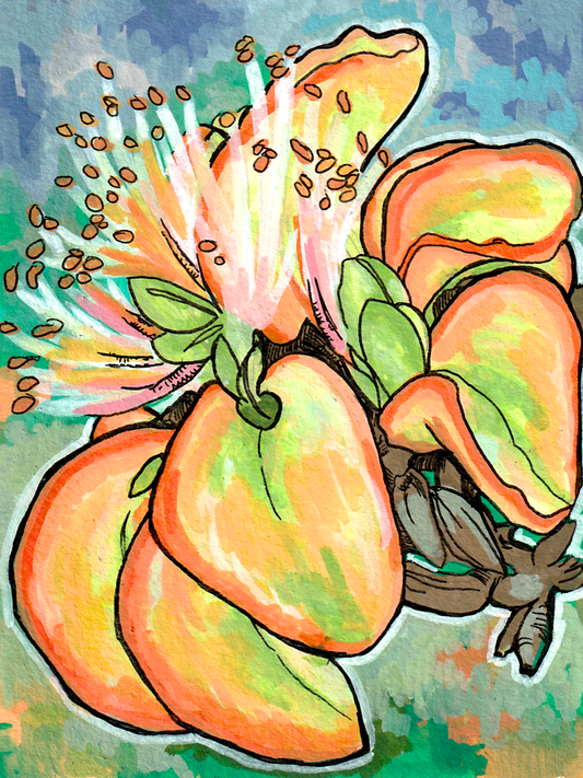 Wiliwili Original Art