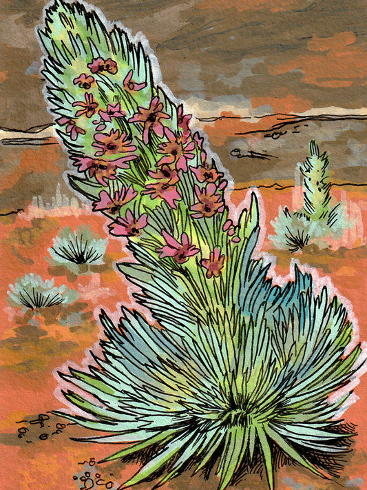 Ahinahina Original Art