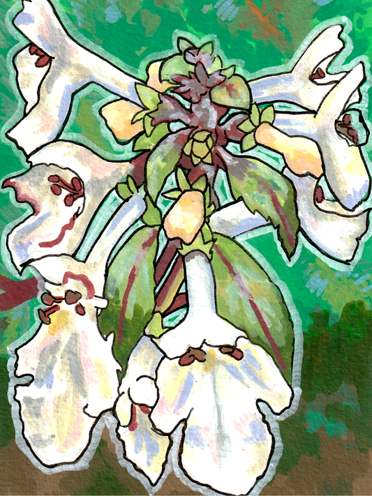 Kapana Original Art